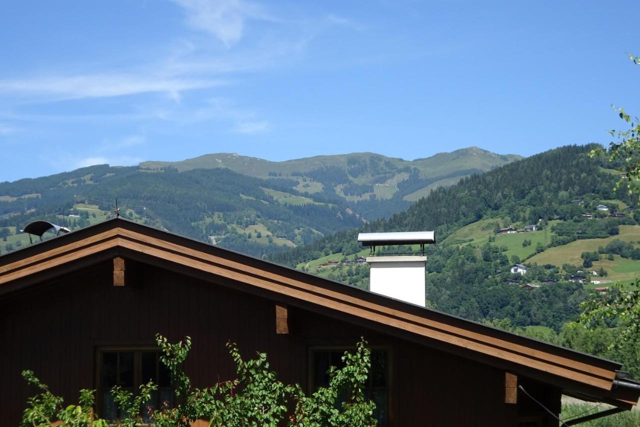 Ferienwohnung Appartement Am Schilf Xl Zell am See Luaran gambar